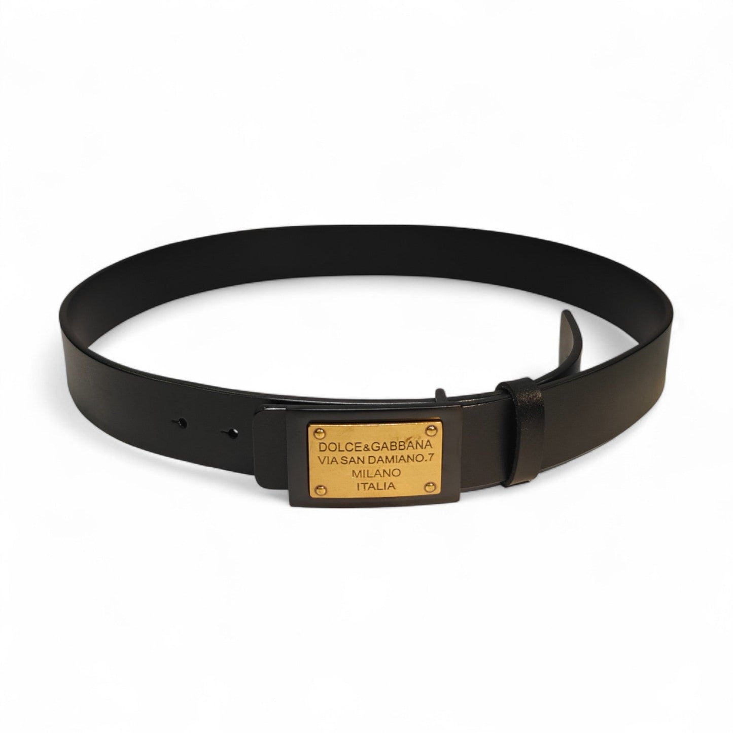 DG Belt